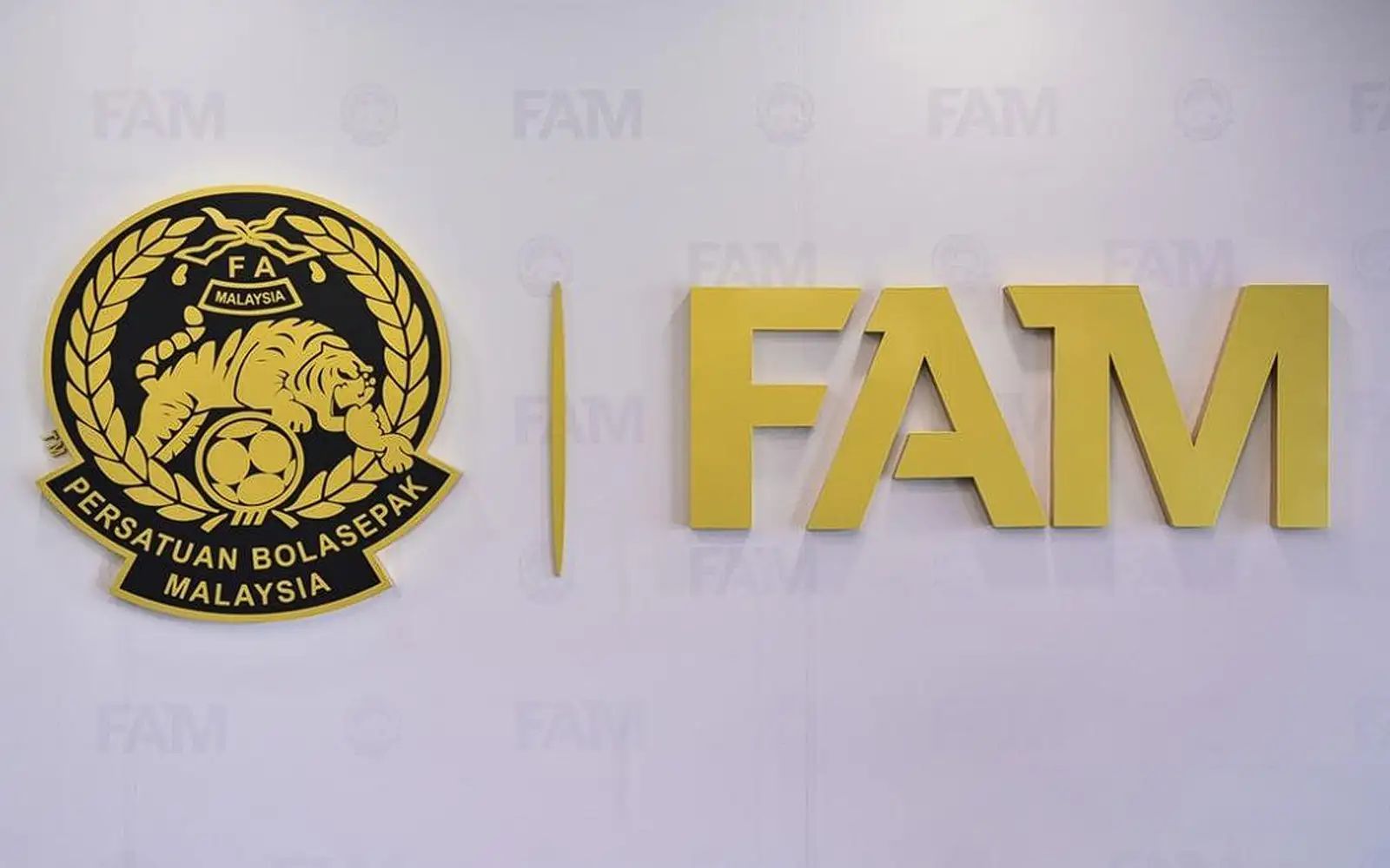 logo FAM
